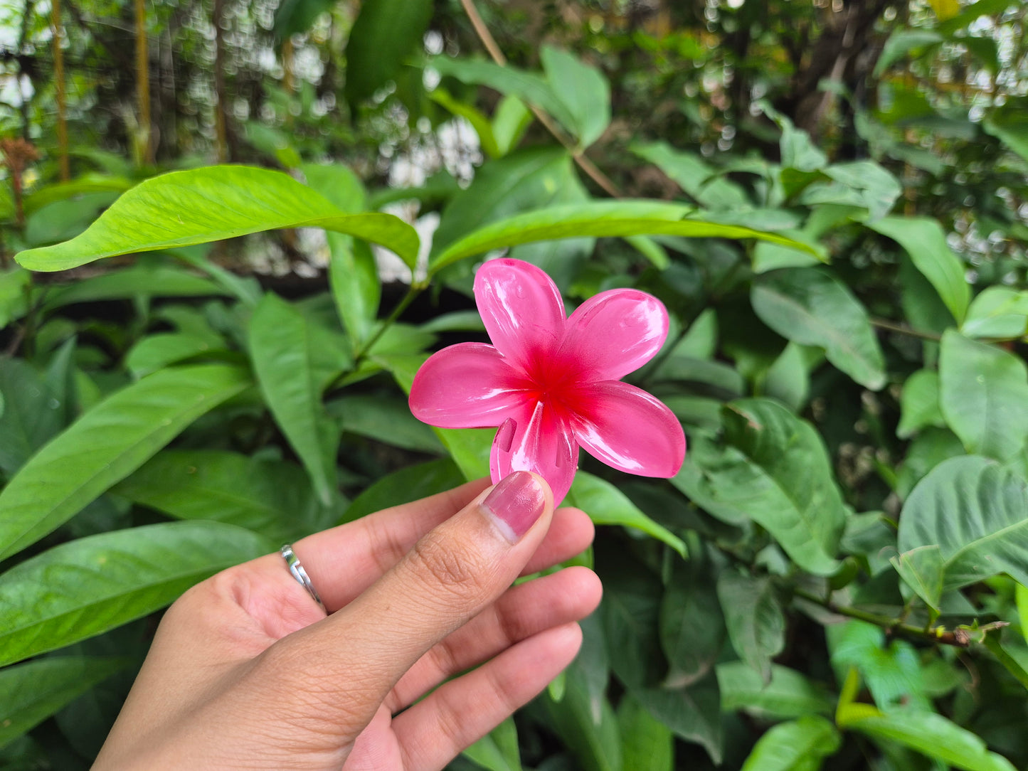 PINKISH KOREAN FLOWER CLAW