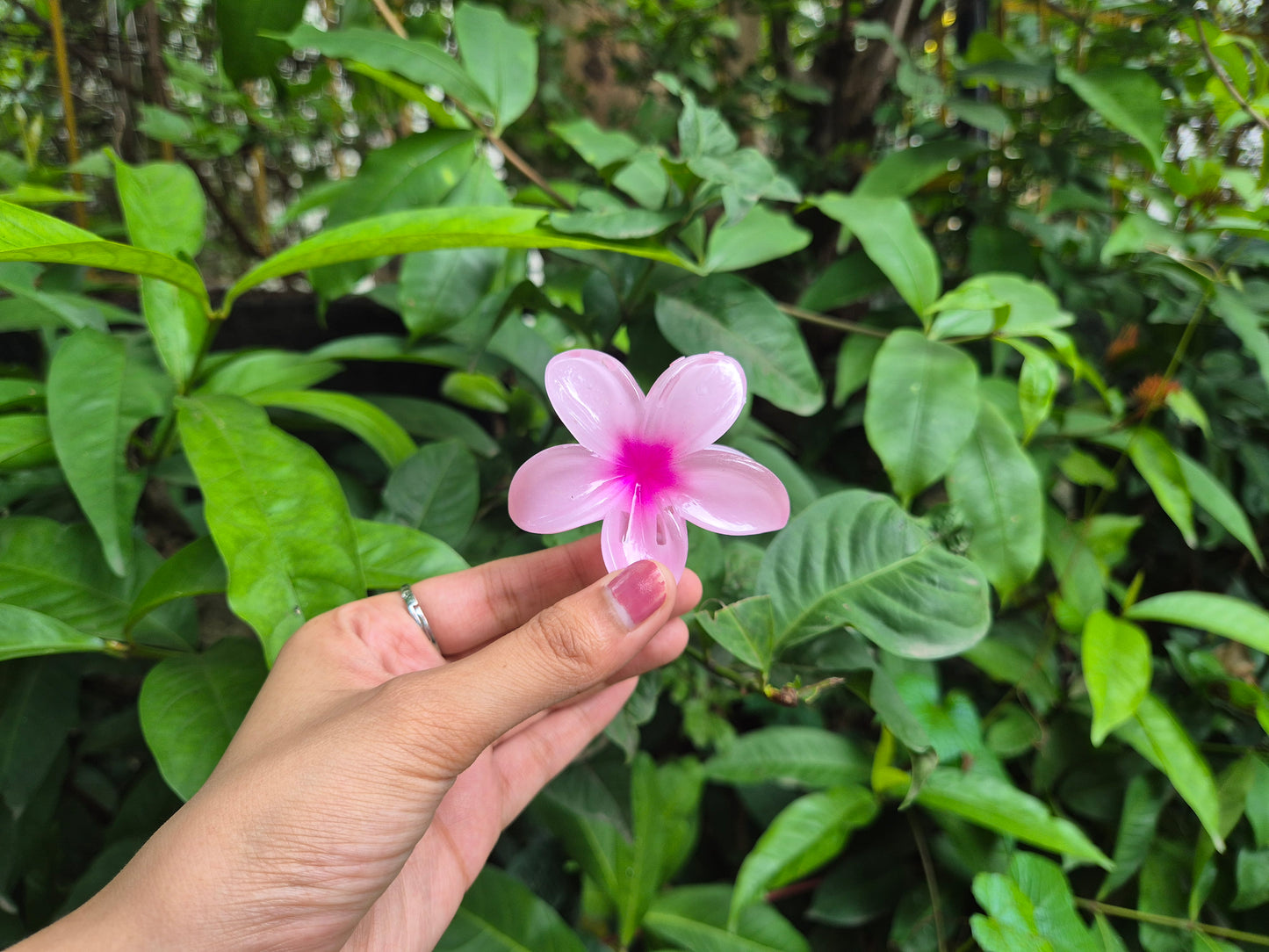 PINK KOREAN FLOWER CLAW