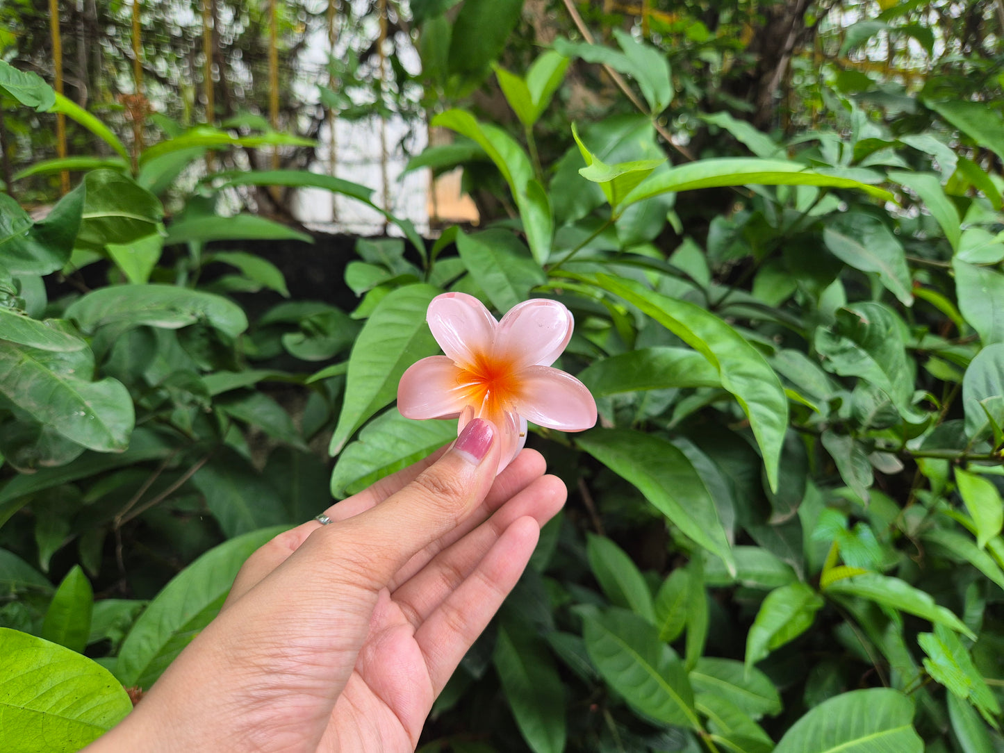ORANGE KOREAN FLOWER CLAW