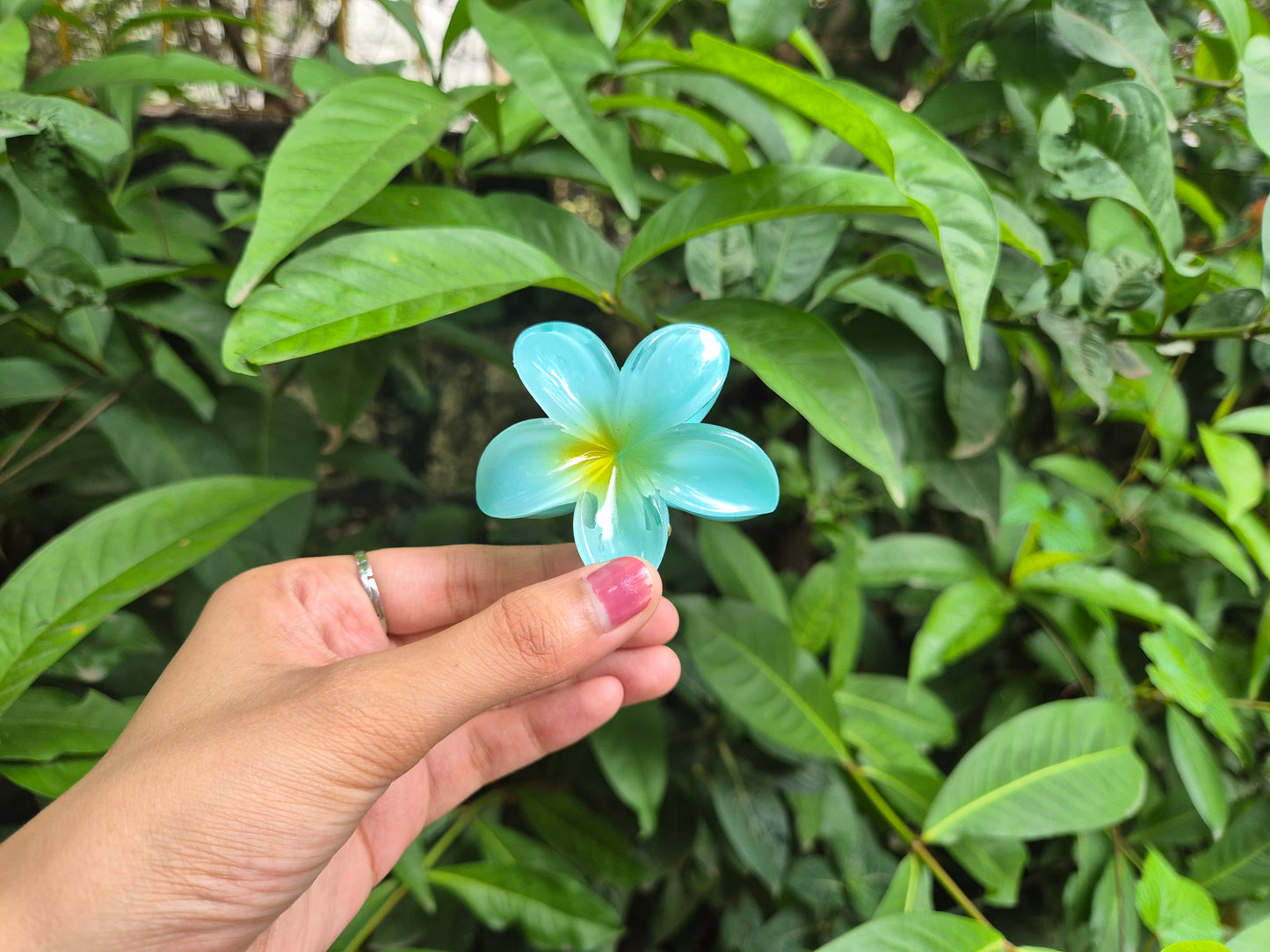 GARDENIA KOREAN FLOWER CLAW