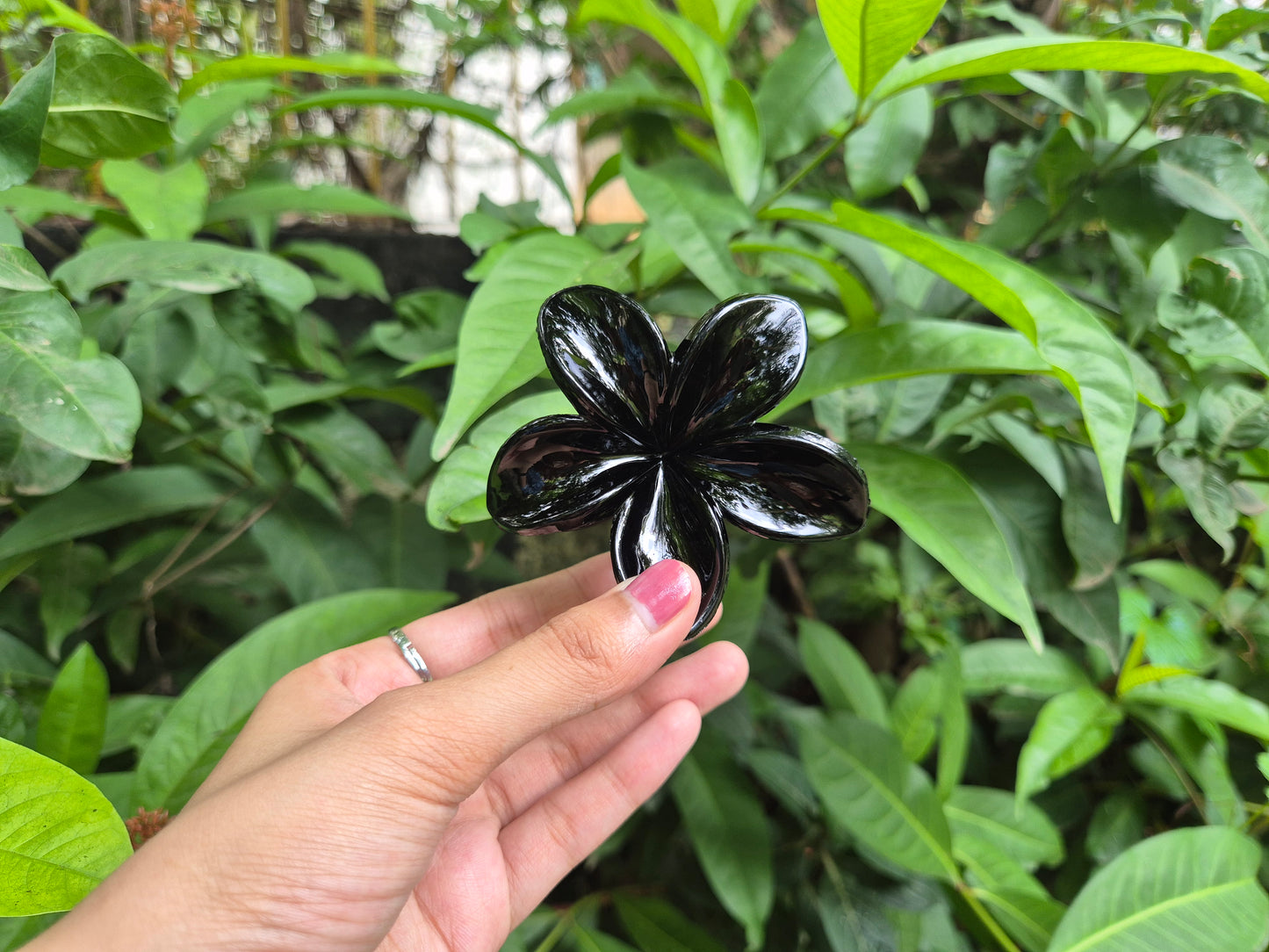 BLACK KOREAN FLOWER CLAW