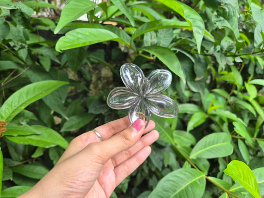 GREY KOREAN FLOWER CLAW