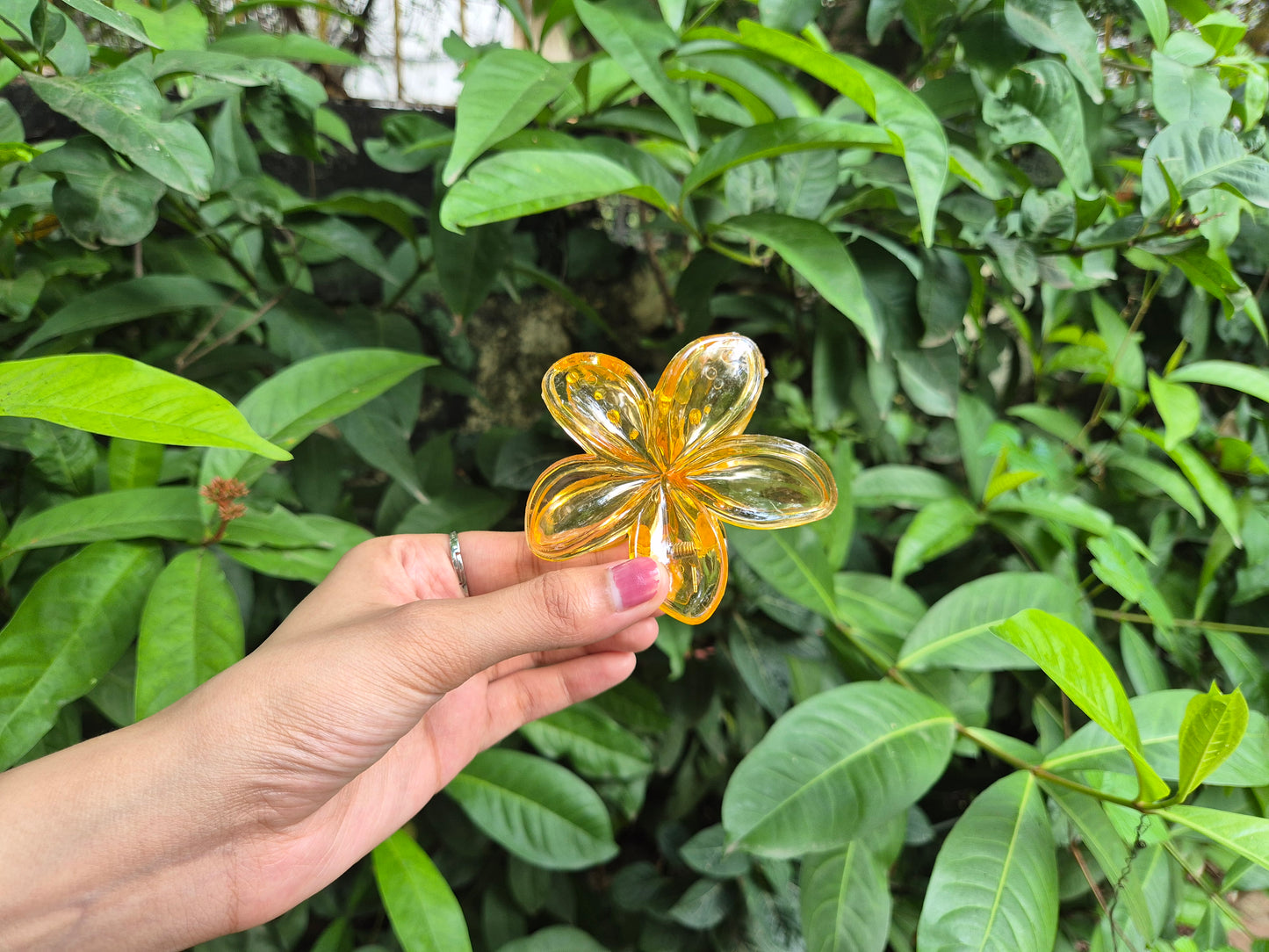 YELLOW KOREAN FLOWER CLAW